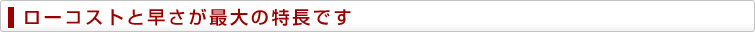 ローコストと早さが最大の特長です